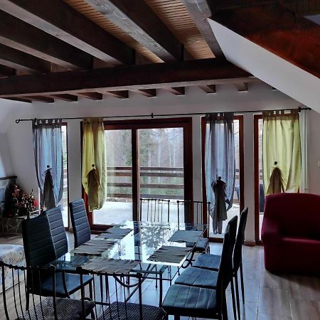 Vila Ines Sinaia Extérieur photo