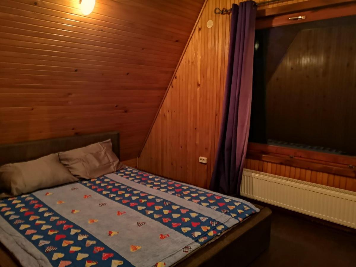 Vila Ines Sinaia Extérieur photo
