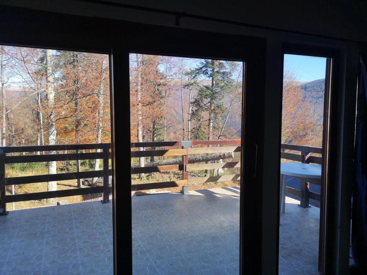 Vila Ines Sinaia Extérieur photo