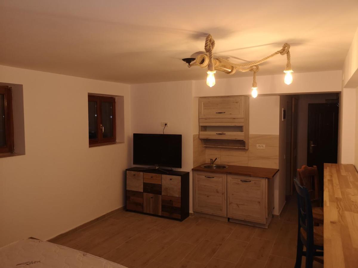 Vila Ines Sinaia Extérieur photo
