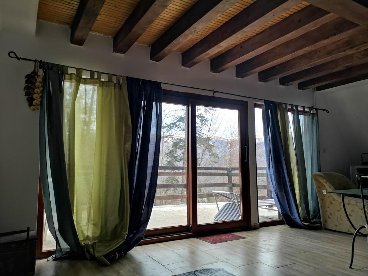 Vila Ines Sinaia Extérieur photo