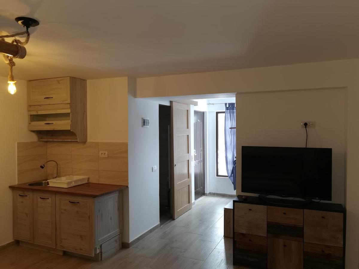 Vila Ines Sinaia Extérieur photo