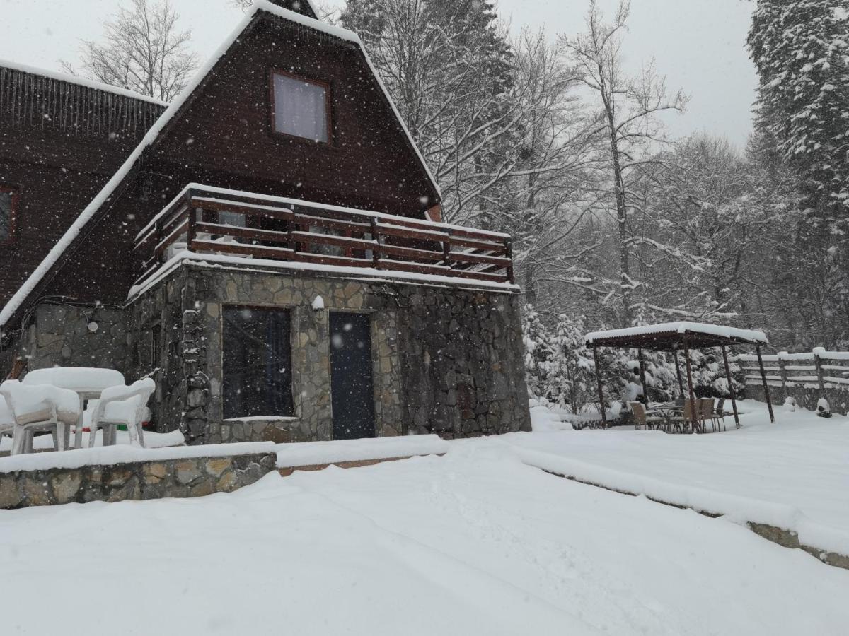 Vila Ines Sinaia Extérieur photo
