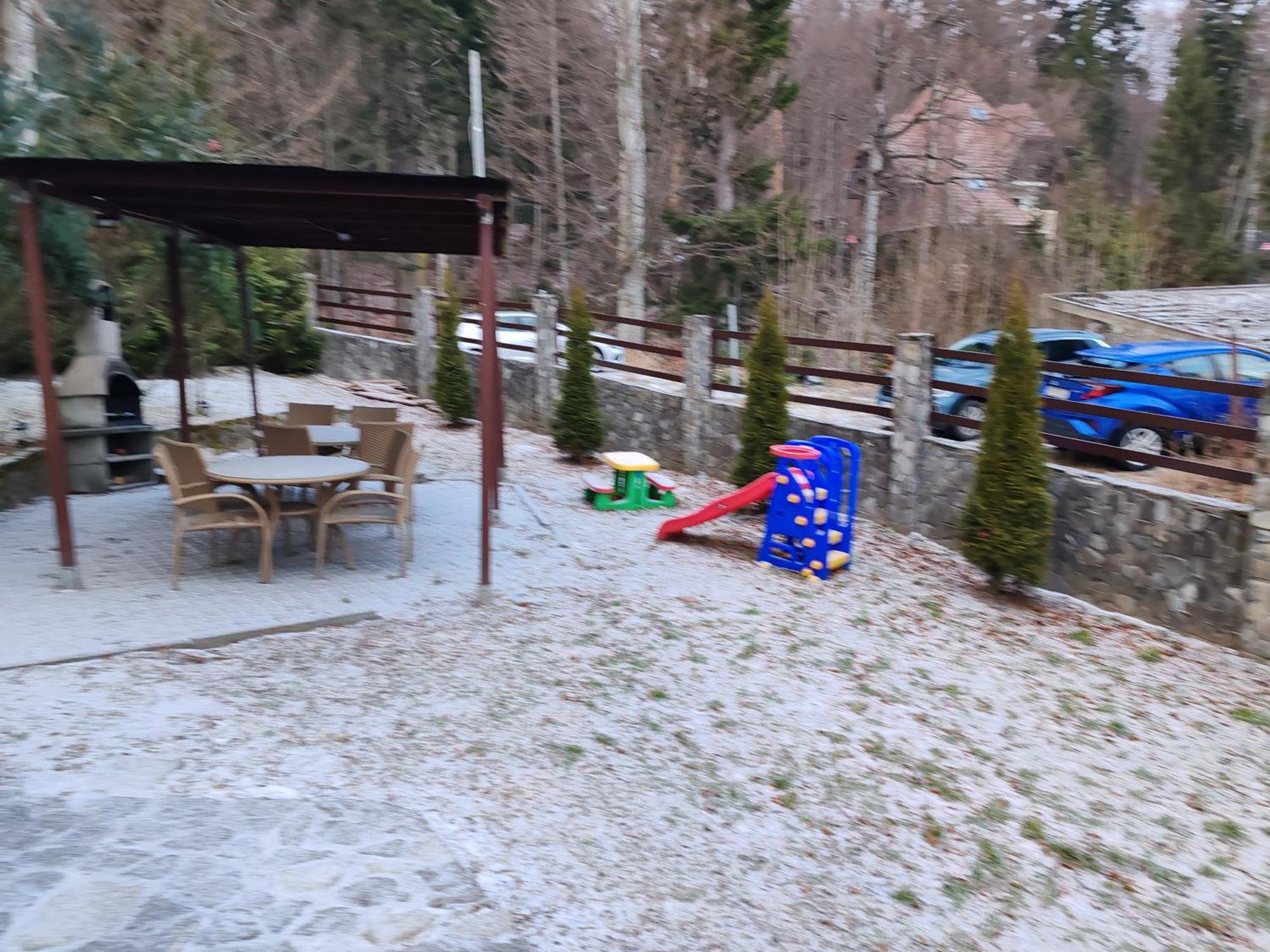 Vila Ines Sinaia Extérieur photo
